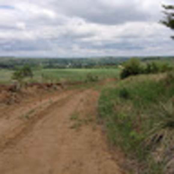 Meet your Posher, Hannah - Picture 1 of 1